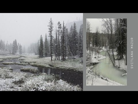 Ólafur Arnalds - For Teda