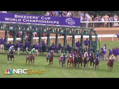 ブリーダーズカップフィリー&メアターフ(G1) 2022/11/5(土) 日程・結果 JRAVAN World 海外競馬情報サイト