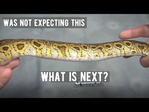 Crazy Cool Clowns Combos!!! RCR