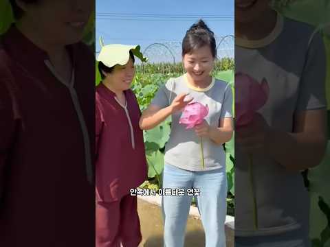 순식간에 꽃봉오리를 아름다운 꽃으로 바꾼 소녀