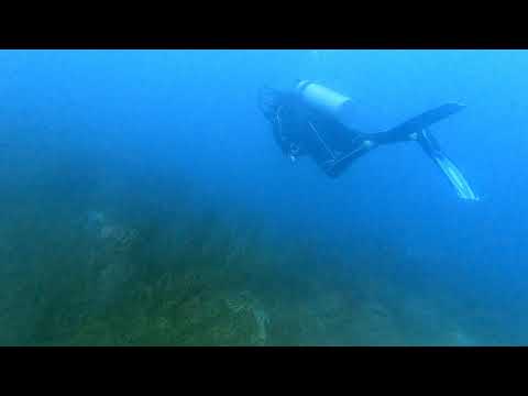 18 11 21 Tayrona from Taganga, Colombia. Scuba Diving