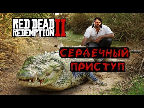 РДР2 - убили легендарного АЛЛИГАТОРА без оружия