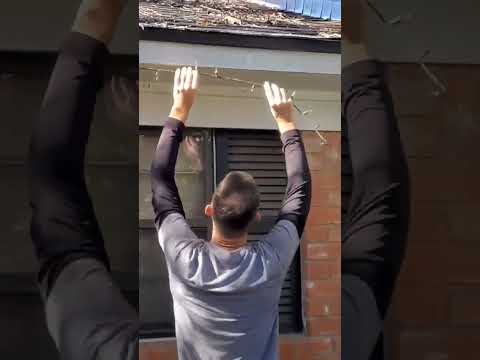 CHRISTMAS LIGHTS DECORATIONS IDEAS OUTDOOR #shorts #shortsfeed