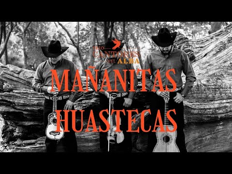 Las Mañanitas Huastecas - Trío Cantores del Alba