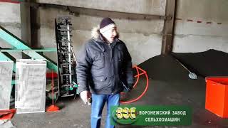 Подсолнечник со снегом ПЗК 60 Тамбовская обл