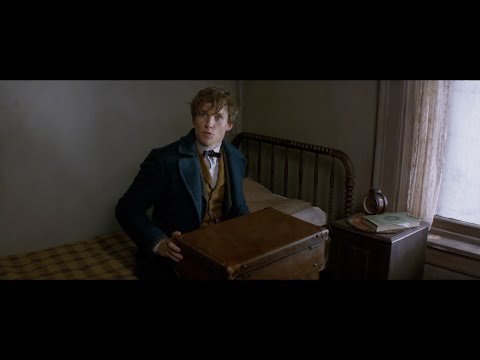 Fantastic Beasts And Where To Find Them - Official® Teaser 1 [HD]