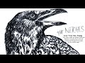 The Nitches Live Free Die Young 2014 Texas New Wave Punk Garage Rock