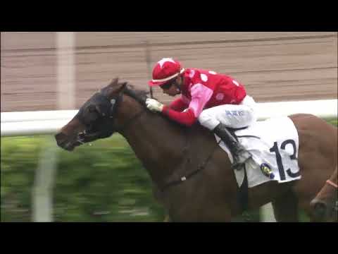 22/5/2022 (688) Stunning Impact -  J Moreira