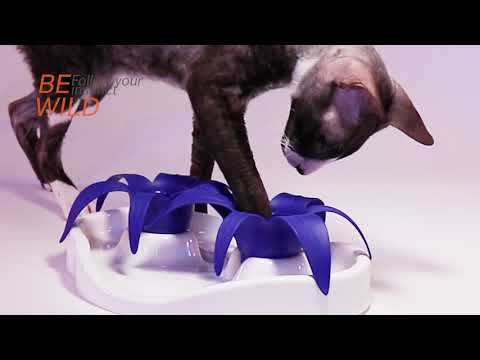 Thin Kat interactive cat feeder