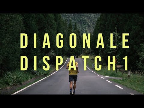 DIAGONALE DISPATCH #1