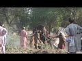 Hidden Cam Video Of Public Horse Mating
