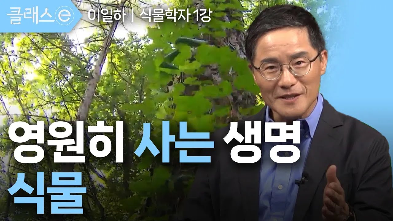 [클래스e] 이일하의 알수록 놀라운 식물의 세계 - 제1강 영원히 사는 생명, 식물