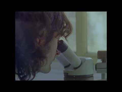 식물수집가 Herbaria | 감독 레안드루 리스토르티 Leandro LISTORTI | 23rd JEONJU IFF OFFICIAL TRAILER