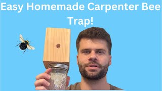 How To Make A Carpenter Bee Trap - Homemade Easy and Cheap Carpenter Bee Traps!