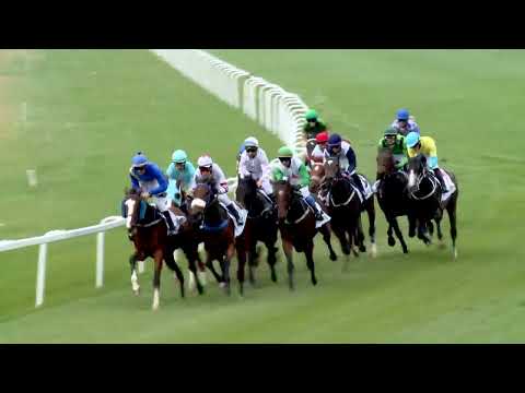 2022.10.30. 03. futam - KÖNIG RÓBERT EMLÉKVERSENY - KEZDŐ LOVAK VERSENYE (IV.kat.)