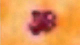 hello there universe