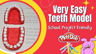 Very Easy Teeth Model Using Play-Doh Clay and Chalk