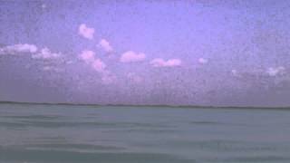preview picture of video 'Grabando bajo el agua en Laguna de Bacalar'