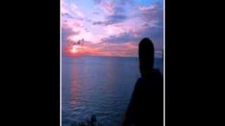 Idiotismo. loucura - Livro dos Espiritos