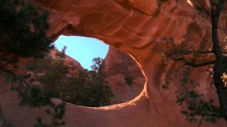 Nature Immersion Experience - Sacred Earth - Desert Star