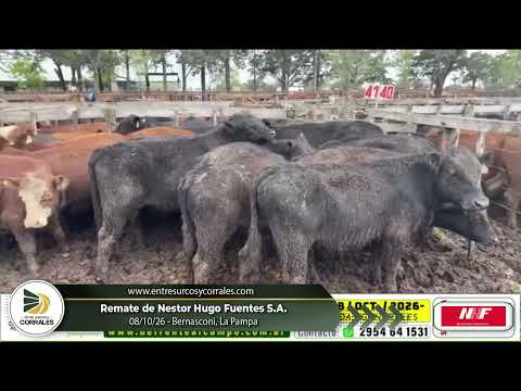 08-10-26 - Remate de Nestor Hugo Fuentes S.A. - Bernsaconi, La Pampa