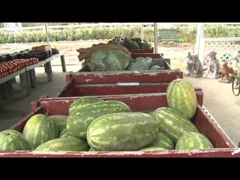 Wayne Farmers Market