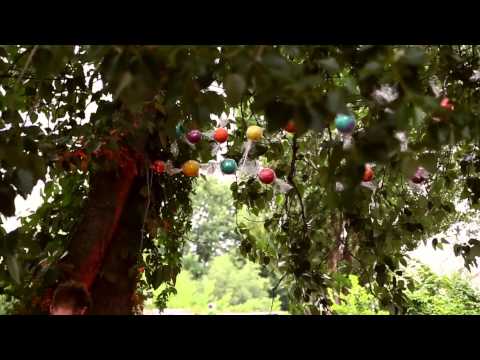 Pets Recordings Presents: EPISODE 03