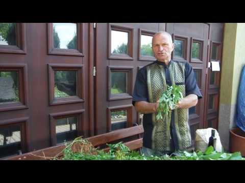 Wykonuje wszystkie grupy mięśniowe Bodyflex Program dla naturalnej kulturystyce