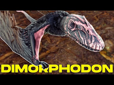 HOW TO TAME A DIMORPHODON & ALL ITS SKILLS (PC, PS & XBOX) - ARK