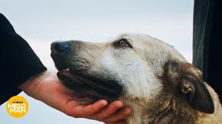 Сергей Прибой - Любовь ( Премьера 2018 )