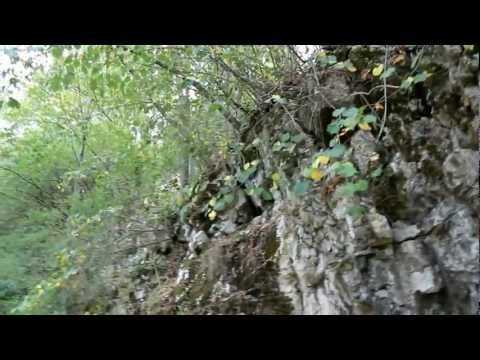 Balsa - memories from last summer