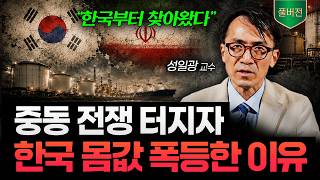 "한국 없으면 안 됩니다" 전쟁 이후 중동이 가장 먼저 찾은 나라 (성일광 교수 풀버전)