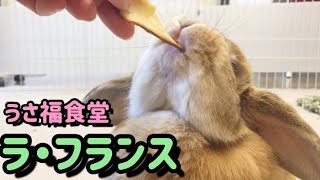 【うさ福食堂 ラ・フランス】を食べる！rabbit eat La France