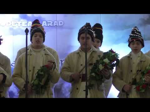 Caravana Traditiilor de Iarna editia a XI-a - Vinga