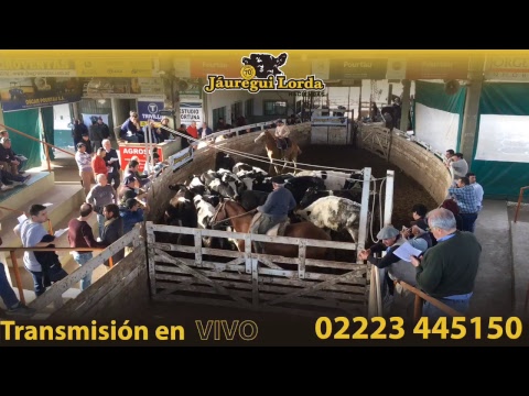 Cabaña El Respiro - Jauregui Lorda - Brandsen