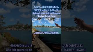 シドニーの主要スポット全部見えるのに穴場すぎた。 #shorts