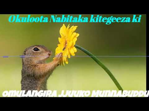 Okuloota Nabitaka kitegeeza ki? - Omulangira Jjuuko Munnabuddu