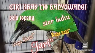 Download lagu MEMBEDAKAN CUCAK HIJAU BANYUWANGI ALASPURWO DENGAN KALIMANTAN DAN LOKAL MERUBETIRI ,TIPS DAN TRIK JT mp3