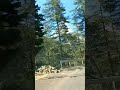 Kitna Isko Smajhata Hoon Jammu And Kashmir