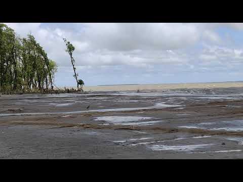 Monpura sea beach-part 2