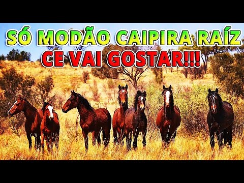 SELEÇÃO DE MODÃO DAS ANTIGAS 🎧 AS MELHORES  - SERTANEJO RAIZ🎧