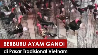 Download lagu Berburu Ayam Ganoi di Pasar Tradisional Vietnam mp3