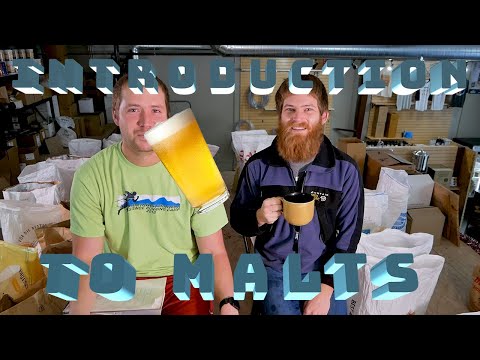 Introduction To Brewing Malts - The Basics