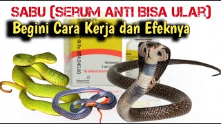 Download lagu Serum Anti Bisa Ular (SABU), Begini Cara Kerja dan Efek Sampingnya mp3 Download lagu Serum Anti Bisa Ular (SABU), Begini Cara Kerja dan Efek Sampingnya mp3