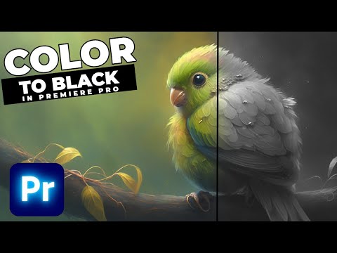 How To Add An EDGE GLITCH Transition In Premiere Pro