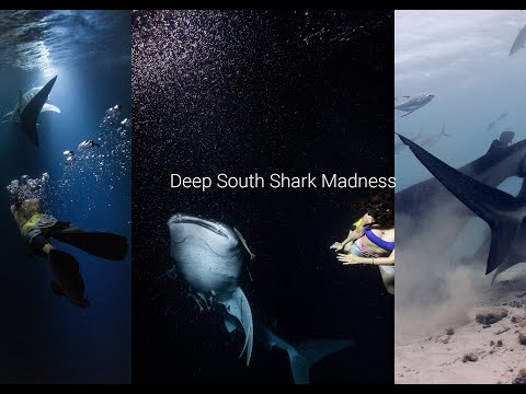 Finmatt X Deep South Maldives