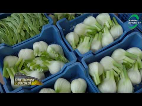 , title : 'Cultura fructelor si legumelor in Belgia'