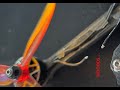 Noob Pilot Rips Around A Jaegers Paintball Field