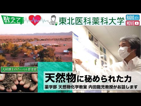 薬学科 【Radio×YouTube】教えて！東北医科薬科大学 「天然物に秘められた力」