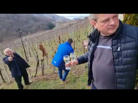 Vincekovo u Zagorju 2022.